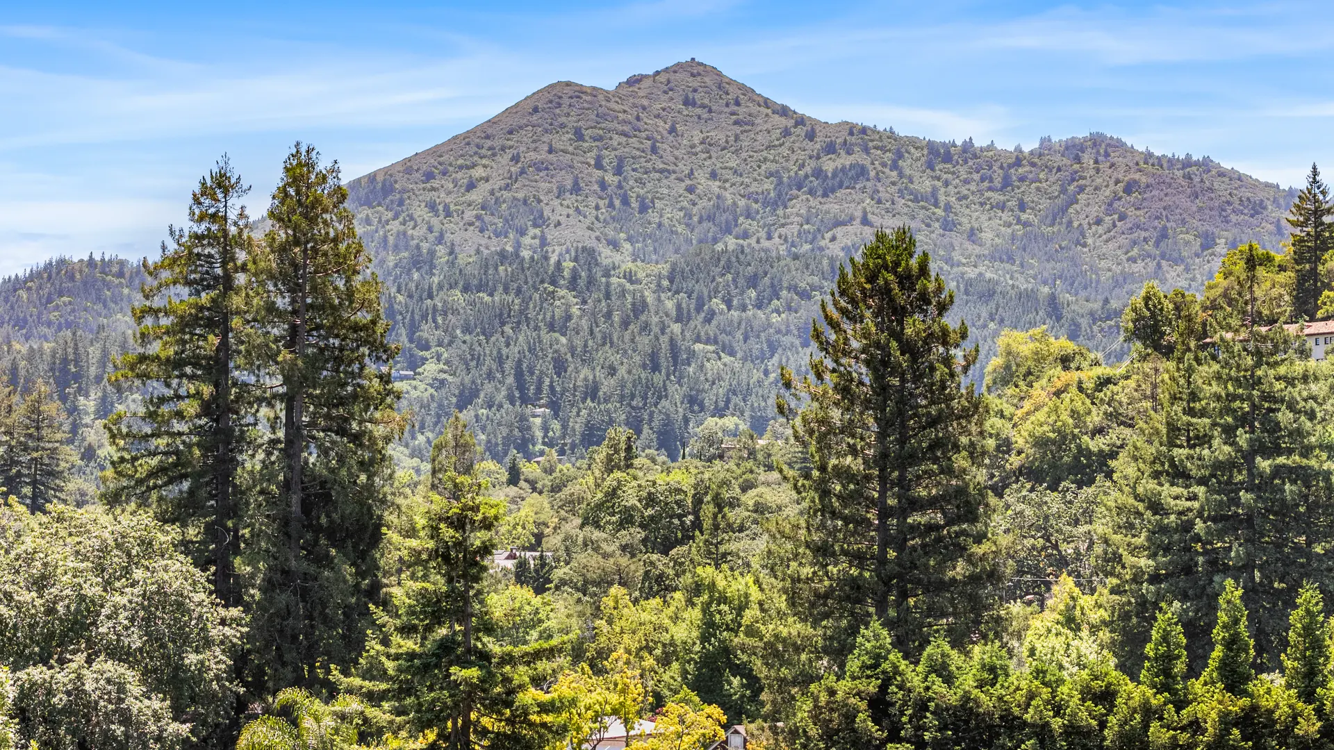 Aerial view of Mount Tamalpais above wooded hills